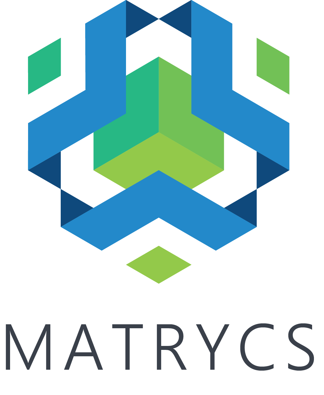 MATRYCS_Logo